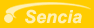 Sencia, Corporate Web Solutions, Content Management Systems, Web Application Development