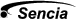 Sencia, Corporate Web Solutions, Content Management Systems, Web Application Development
